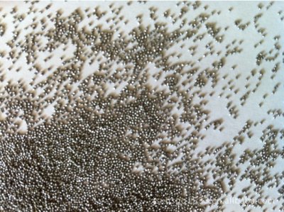 Stainless Steel Abrasive Media